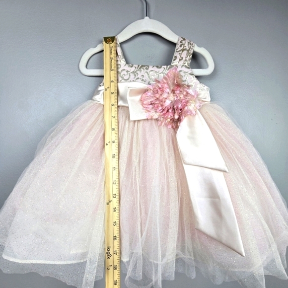 CHANTILLY PLACE Tool Flower Formal Dress Champagne Blush Baby Girl Sz 18 Months - Picture 12 of 12